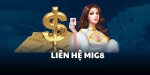 Liên Hệ Mig8 Giải Quyết Nhanh Chóng Vướng Mắc Của Hội Viên